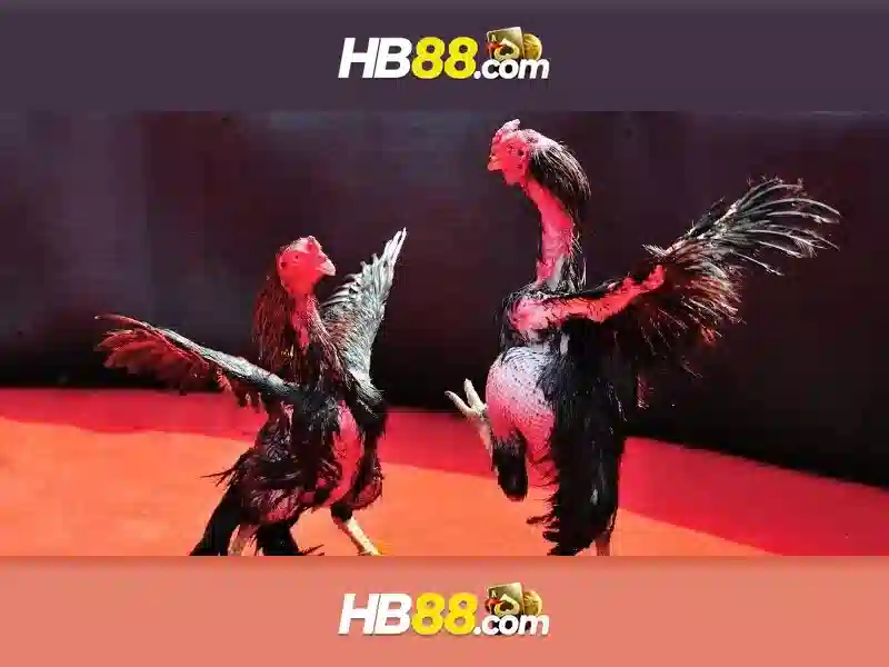 HB88: Nền tảng cược trực tuyến phổ biến ở châu Á