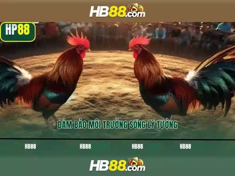 HB88 là gì và cách chơi an toàn