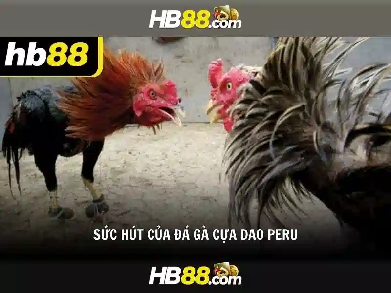 hb88 ngo – Tổng quan và trải nghiệm