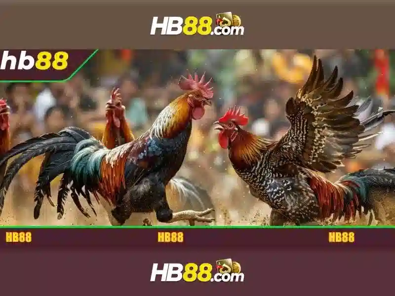 hb88 – Nền tảng cá cược trực tuyến đáng tin cậy