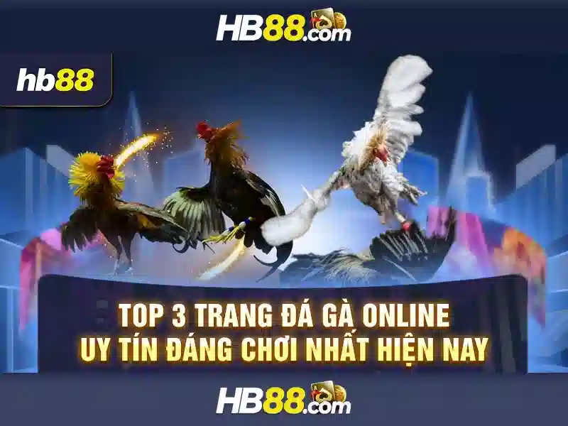 HB88 - Cổng cá cược trực tuyến uy tín và các dịch vụ nổi bật