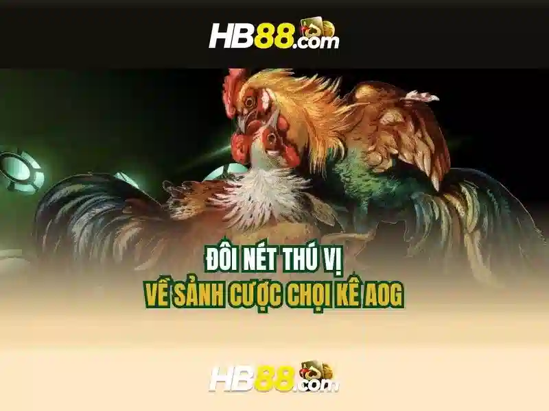 Hb88: Nền tảng cá cược trực tuyến an toàn và đáng tin cậy