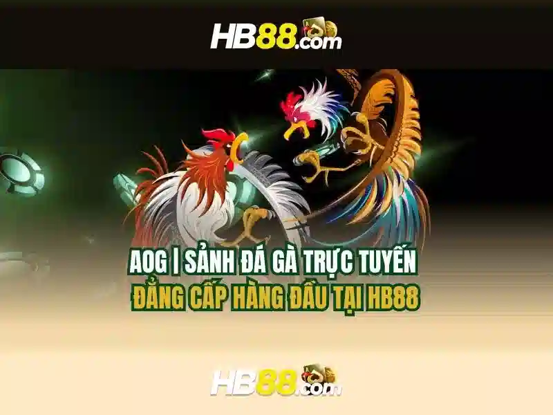 hb88 khuyen mai code – Tổng quan và giá trị cốt lõi