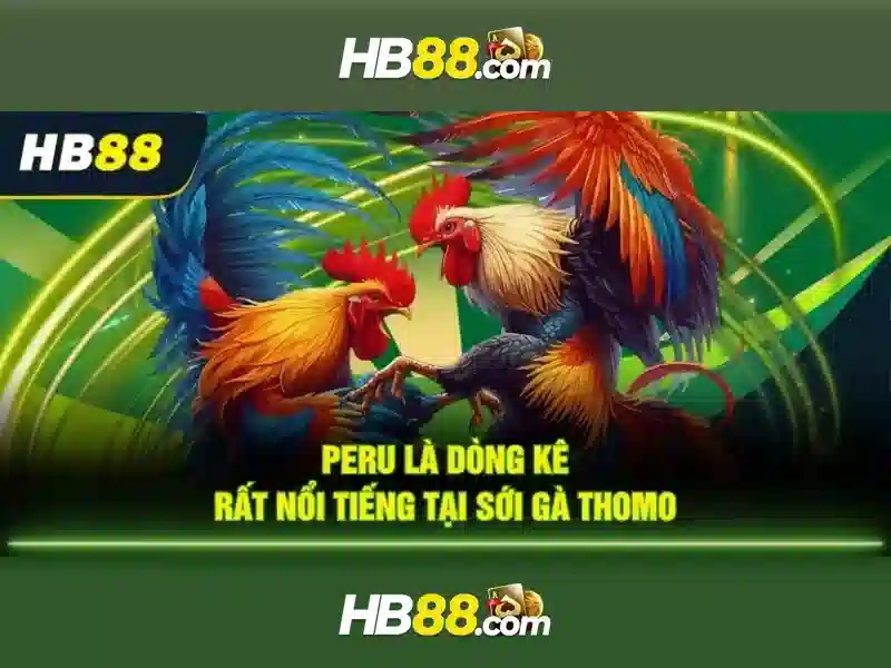 HB88: Nền tảng cá cược trực tuyến toàn diện