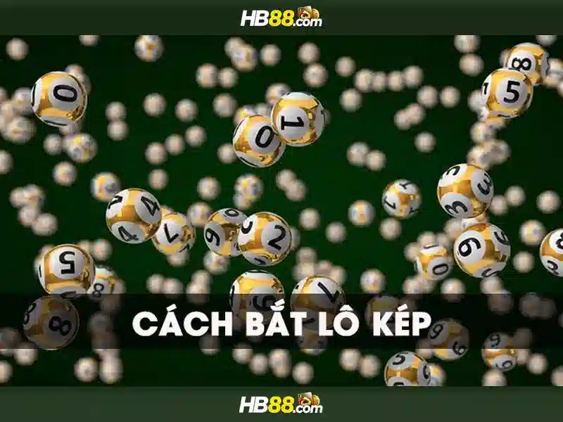 hb88 — tổng quan về nền tảng cá cược trực tuyến