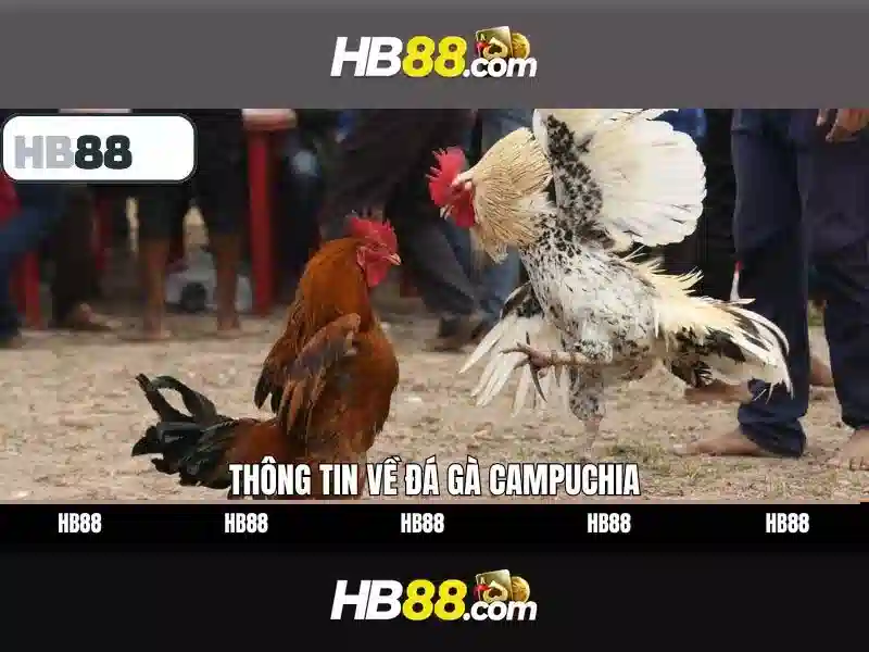 hb88 hb88 host – Chủ đề và giá trị cốt lõi