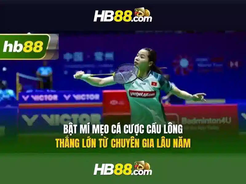 HB88: Nền tảng cá cược trực tuyến đáng tin cậy và những điều cần biết