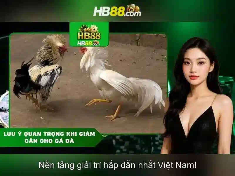Lợi ích của HB88 cho người chơi