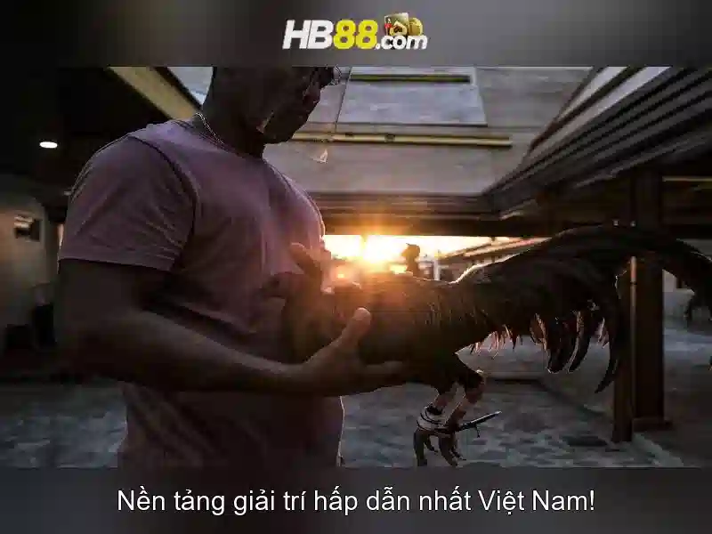 messenger hỗ trợ hb88 – liên lạc hiệu quả cho hb88