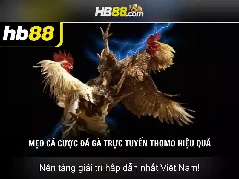 hb88: Tổng quan về nền tảng giải trí và cá cược trực tuyến