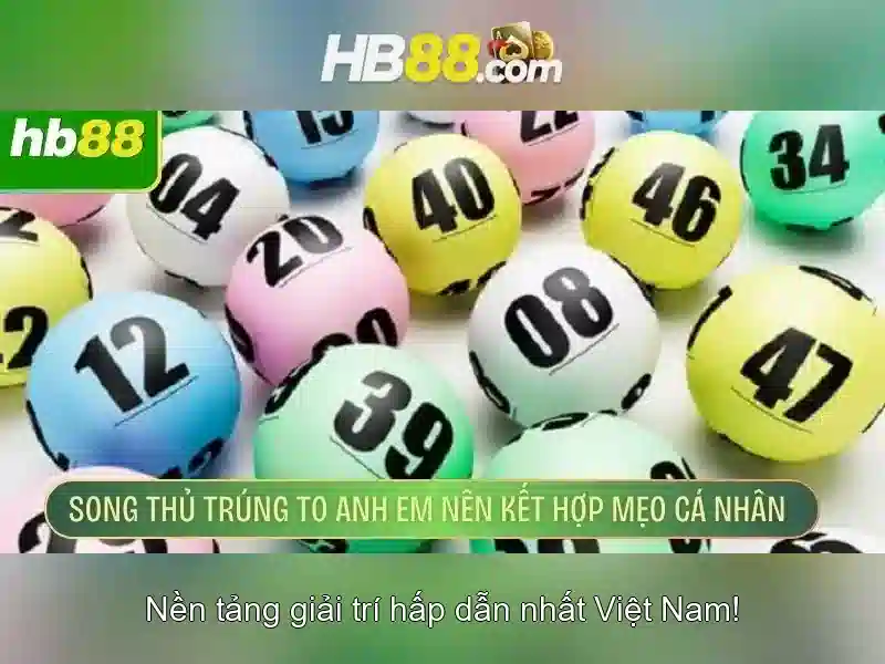 hb88 dog: Nền tảng đổi mới thương hiệu và cộng đồng