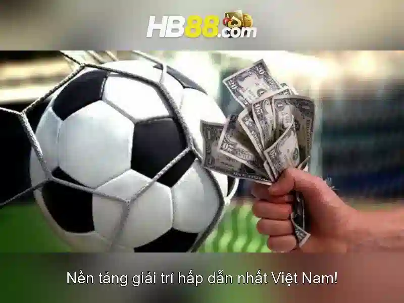 hb88 wep – Trải nghiệm người dùng và phản hồi