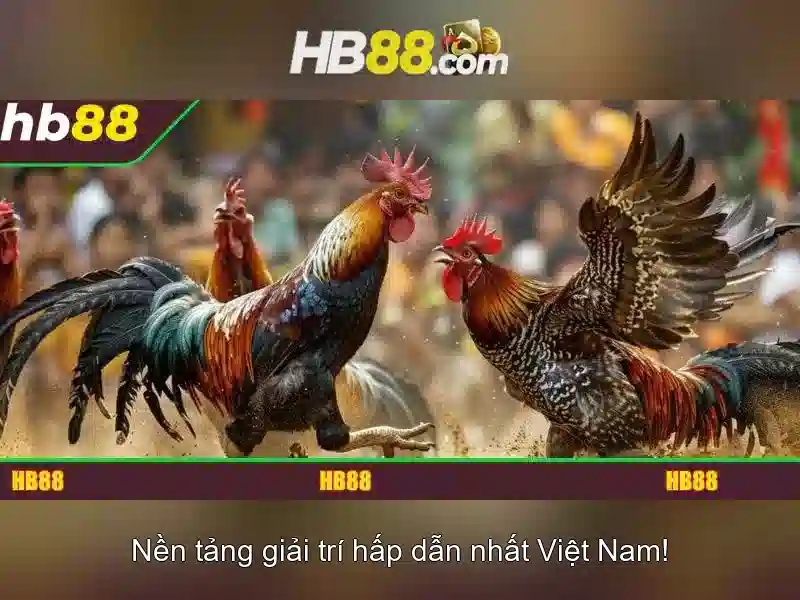 Bảo mật và thanh toán an toàn