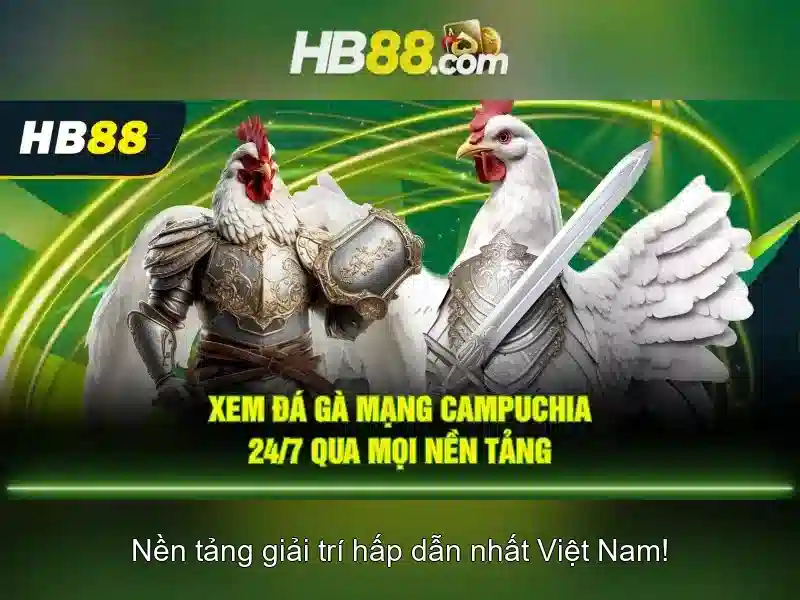 Chính sách thưởng và chương trình khuyến mãi