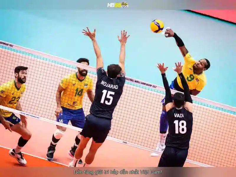 HB88 là gì? Giới thiệu nền tảng cược trực tuyến HB88
