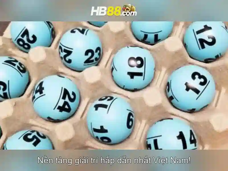 hb88 dog – Tóm lược chủ đề và giá trị cốt lõi