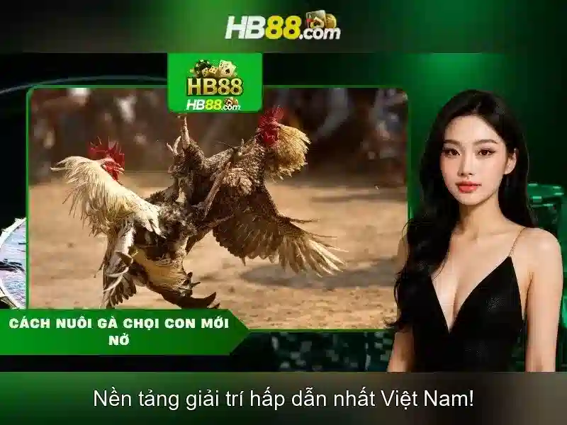 Sản phẩm và dịch vụ cốt lõi với hb88 111