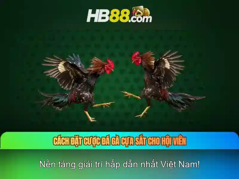 Độ tin cậy và an toàn