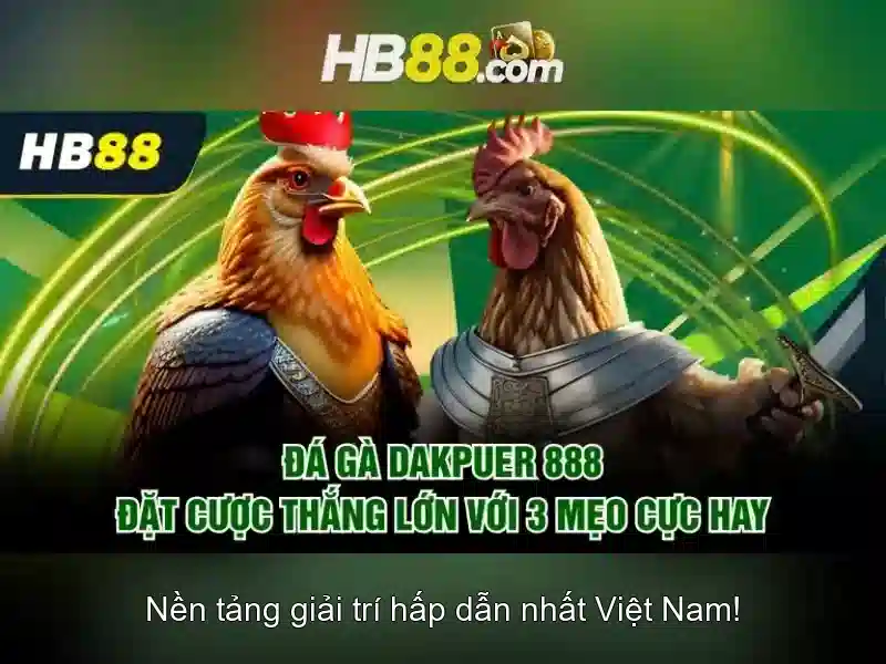 Nền tảng và trò chơi có mặt