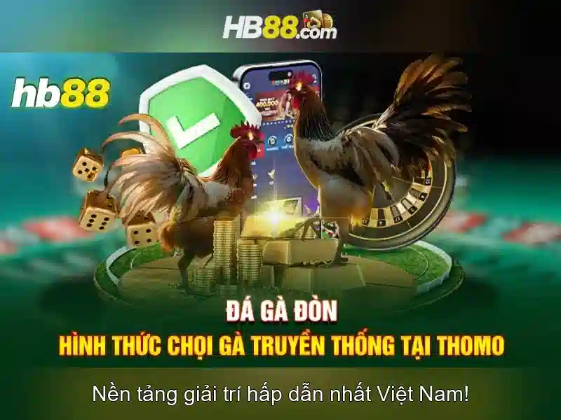 An toàn và cấp phép