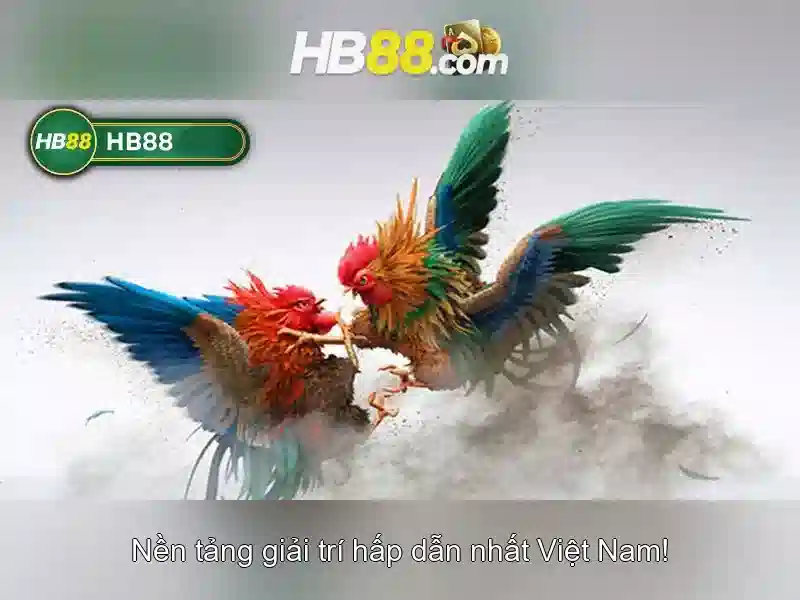 HB88 – Nền tảng cược trực tuyến phổ biến