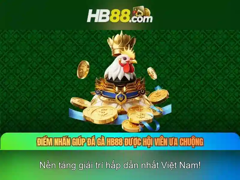 hb88: Tổng quan về nền tảng cá cược trực tuyến uy tín