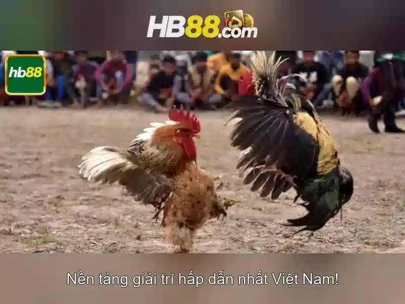 HB88 - Nền tảng cá cược trực tuyến uy tín tại châu Á