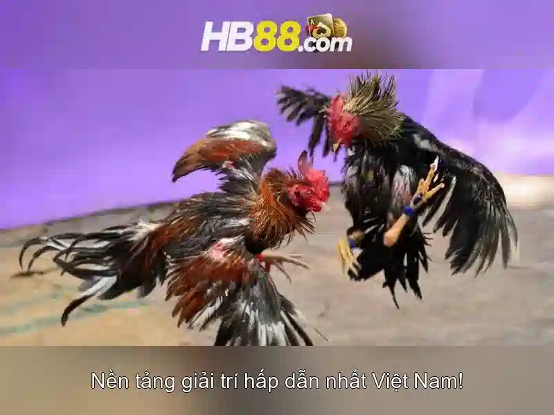 Cạnh tranh và lợi thế của hb88 sbs