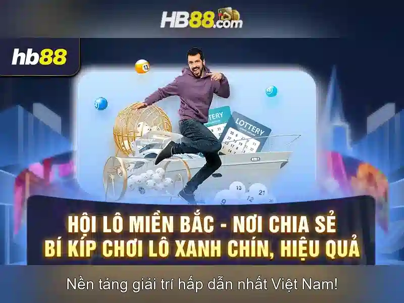 Lĩnh vực hoạt động